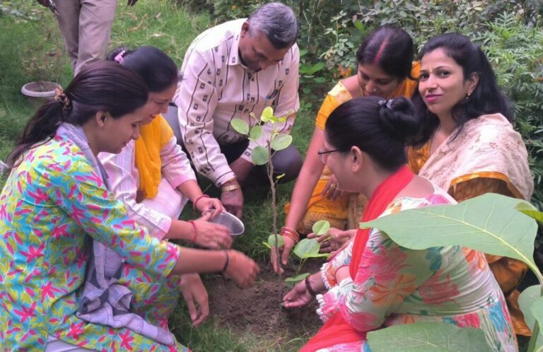 संभल-हर्षोल्लास के साथ मनाया गयाविश्व पर्यावरण दिवस
