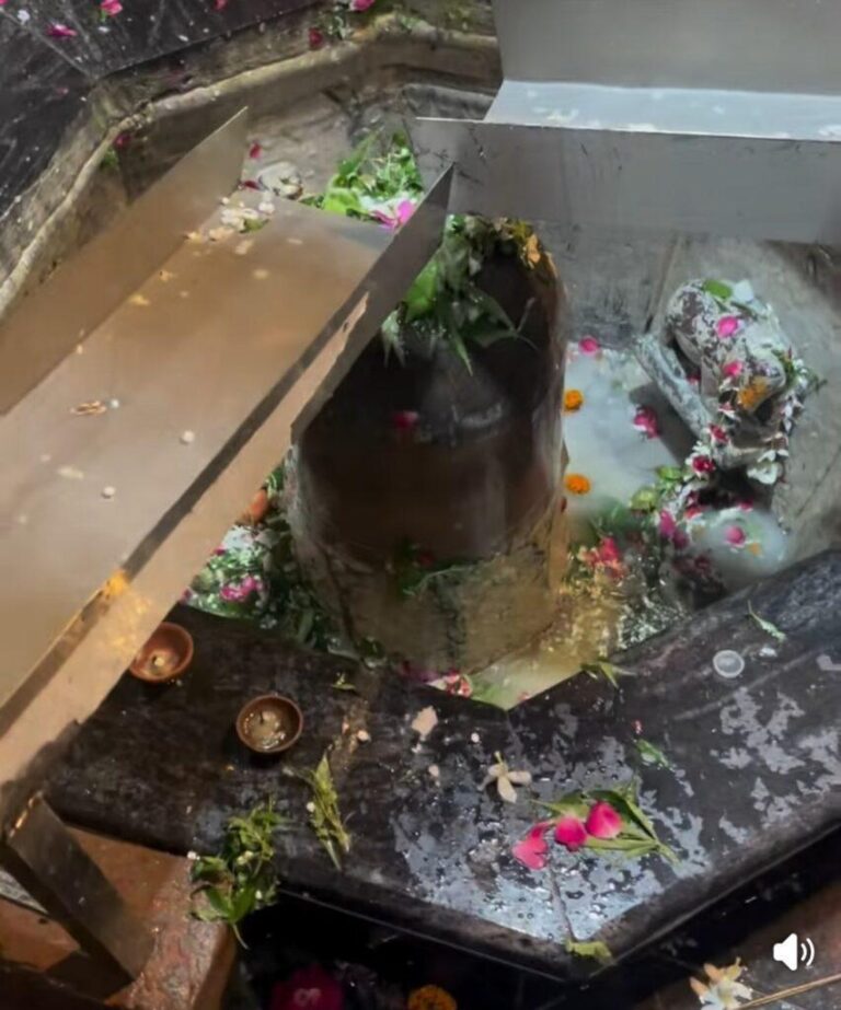 संभल-पातालेश्वर महादेव मंदिर पर उमड़ा लाखों शिव भक्तों का जन सैलाब