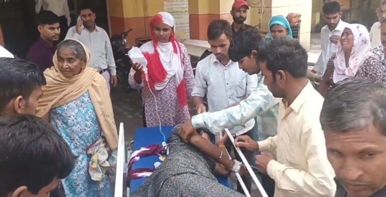 संभल-हयातनगर क्षेत्र के गांव धनेटा सोतीपुरा में एक किशोरी को कोबरा सांप ने दो बार काट लिया